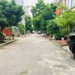 Ảnh 2 của BÁN ĐẤT CỰC HIẾM KHU PHÂN LÔ HỒ ĐÁ, SỞ DẦU, HỒNG BÀNG