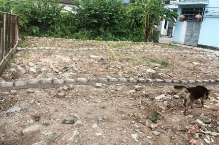 BÁN ĐẤT HOA ĐỘNG  CÁCH ĐƯỜNG TRỤC 203