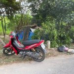 Ảnh 2 của BÁN LÔ ĐẤT ĐÚNG ĐIỂM NÓNG KHU CN TRÀNG DUỆ 3 VÀ SÂN GOLD SAKURA VỚI KHU HOÀNG HUY