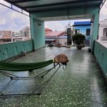 Ảnh 2 của BÁN NHAF 4 TẦNG KHU DÂN CƯ PHÂN LÔ AN TRANG CỰC ĐẸP GIÁ HỢP LÝ LIÊN HỆ 0936577