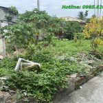 Ảnh 2 của ĐẤT TRUNG TÂM THỊ TRẤN NÚI ĐỐI, KIẾN THỤY.
