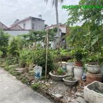 Ảnh 4 của ĐẤT TRUNG TÂM THỊ TRẤN NÚI ĐỐI, KIẾN THỤY.