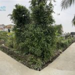 Ảnh 3 của Chính chủ bán đất, Chiến Thắng, An Lão,lô góc 2 mặt ngõ ô tô tránh,204m2, MT10m,thỏa thuận