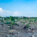Ảnh 3 của Bán mảnh đất 03 giá rẻ tại xã Hợp Thành, Thủy Nguyên, Hải Phòng