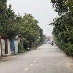 Ảnh 3 của Chính chủ muốn bán lô đất tại khu vực thôn Hoà Bình xã An Thọ (An Lão)