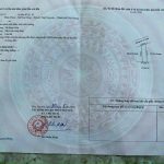 Ảnh 2 của LÔ ĐẤT GẦN NGAY DỰ ÁN HOÀNG HUY TẠI HOA ĐỘNG, THỦY NGUYÊN