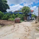 Ảnh 2 của BÁN LÔ GÓC THUỘC TOP HOA KHÔI THÔN ĐƯỜNG ĐÁ HOA ĐỘNG.
