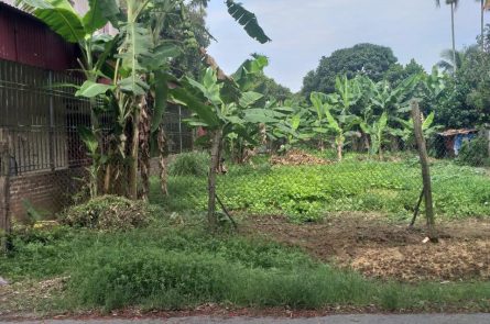 BÁN ĐẤT TẠI CỘNG HIỀN - VĨNH BẢO