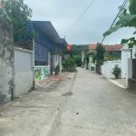 Ảnh 1 của F0 Chính Mỹ ngõ ô tô quay đầu với giá mềm như bún.